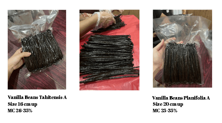 Vanilla beans1