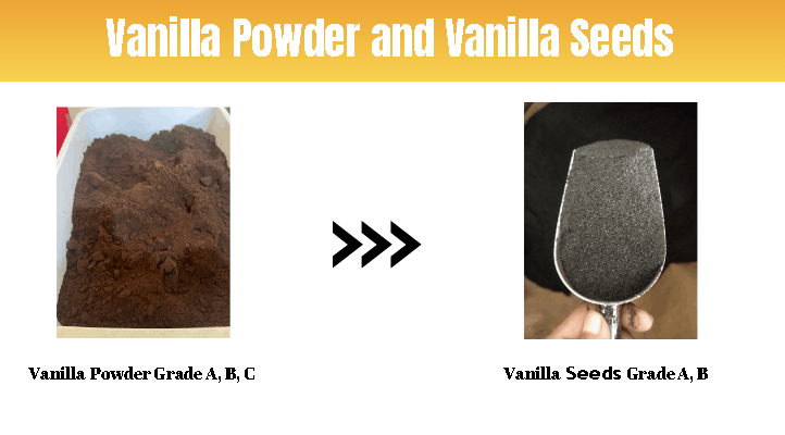 Vanilla powder